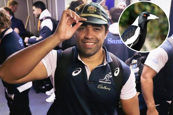 Langi Gleeson had an unfortunate run-in with two magpies at his first Wallabies training session.