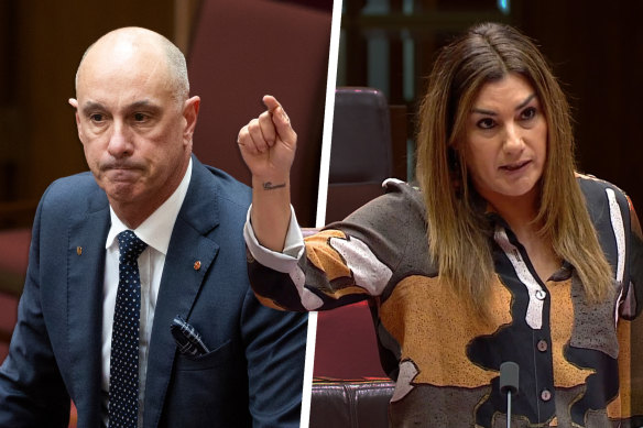 Senator Lidia Thorpe accused Senator David Van of harassment, and allegation he has denied.