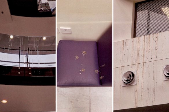 Pigeon droppings throughout Royal Prince Alfred Hospital in Camperdown earlier this year.