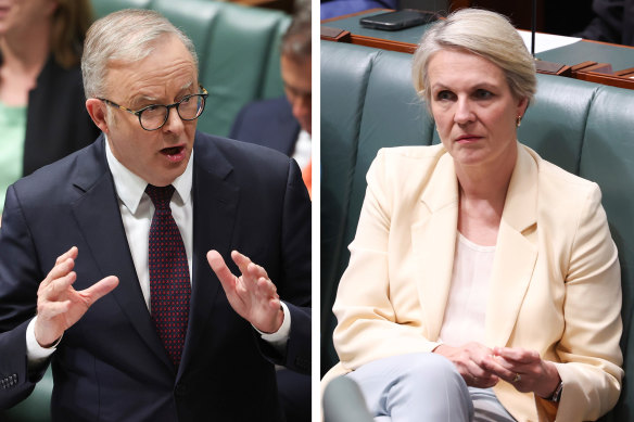 Prime Minister Anthony Albanese and Environment Minister Tanya Plibersek.
