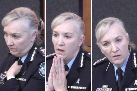 Queensland Police Commissioner Katarina Carroll appears at the inquiry on Wednesday.