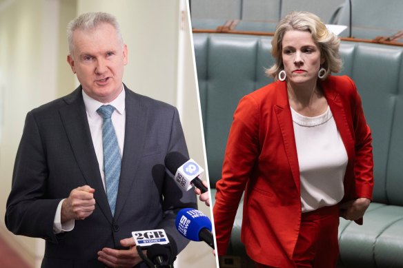 Tony Burke and Clare O’Neil take on two areas critical to the government’s electoral fortunes.