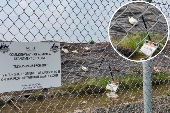 Large mounds of contaminated dirt have been stockpiled next to the quarantine centre at Pinkenba.