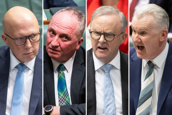 Sticks and stones … Opposition Leader Peter Dutton, Nationals MP Barnaby Joyce, Prime Minister Anthony Albanese and Home Affairs Minister Tony Burke.