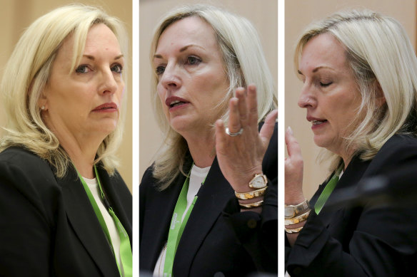 Christine Holgate pictured at a Senate estimates hearing in October last year, where she gave evidence about purchasing four Cartier watches, worth $20,000 in total, as a reward for employees who had secured a major banking deal for the postal service. 