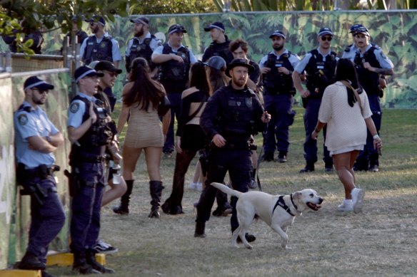 Police and sniffer dogs at the Listen Out Festival in Sydney last September.