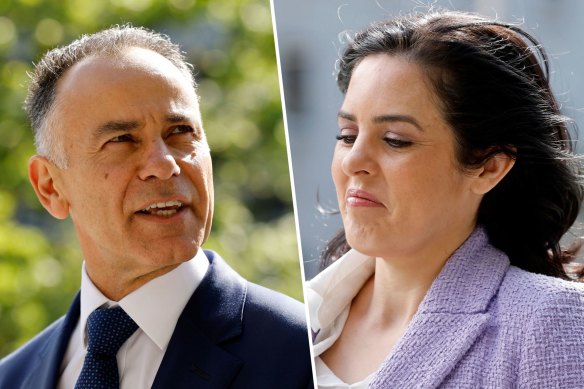 John Pesutto and Moira Deeming at court on Friday.