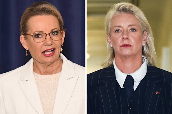 Liberal Party leader Sussan Ley and Nationals Senate leader Bridget McKenzie.