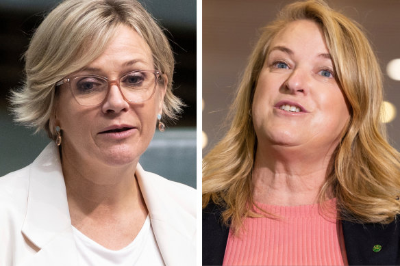 Sydney MPs Zali Steggall and Kylea Tink are arguing over which of their seats should be abolished.