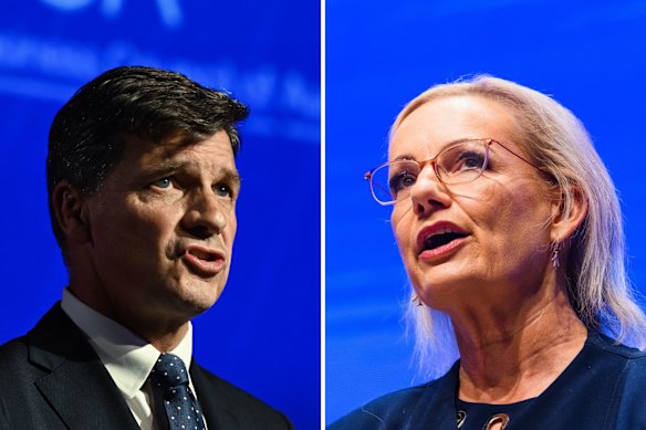 Angus Taylor and Sussan Ley.