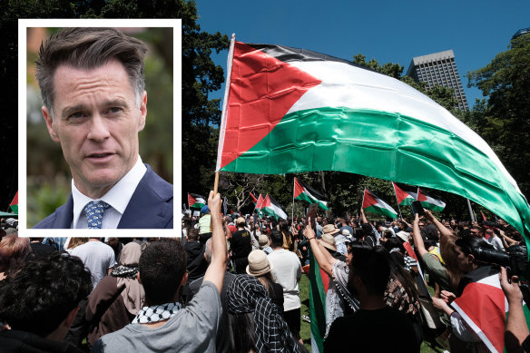 Eleven members of the NSW government - including four assistant ministers - have broken ranks with Premier Chris Minns and his vocal support for Israel following the outbreak of the war in Gaza.
