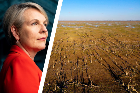 Federal Environment and Water Minister Tanya Plibersek.