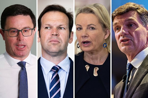 Challengers: Nationals David Littleproud and Matt Canavan, and Liberals Sussan Ley and Angus Taylor.