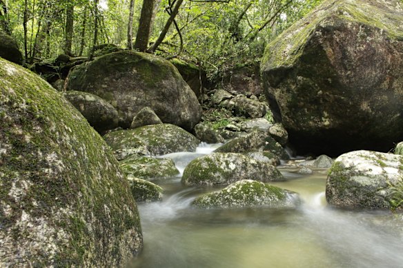 Mossman Gorge in Far North Queensland.