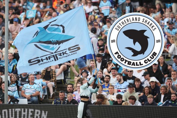 The Cronulla Sharks have lodged a joint expression of interest with the Sutherland Sharks for Football Australia’s proposed national second division.