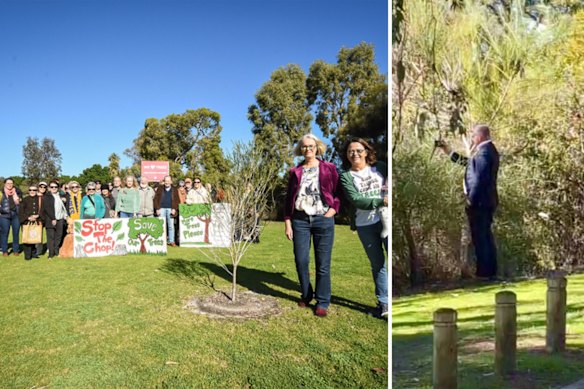 Houweling was observed by a tree canopy group member looking on after the group had attended a photo shoot with WAtoday. 