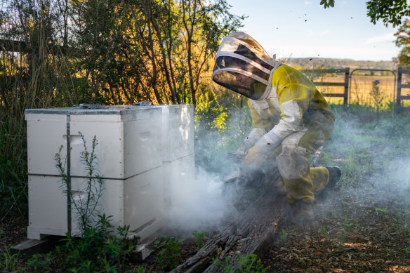 Beekeeper Oden Boulter started his own business after doing a school-based traineeship in beekeeping.