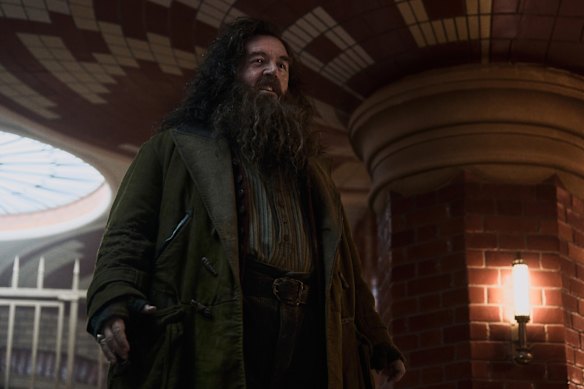 Nick Frost as Rubeus Hagrid.