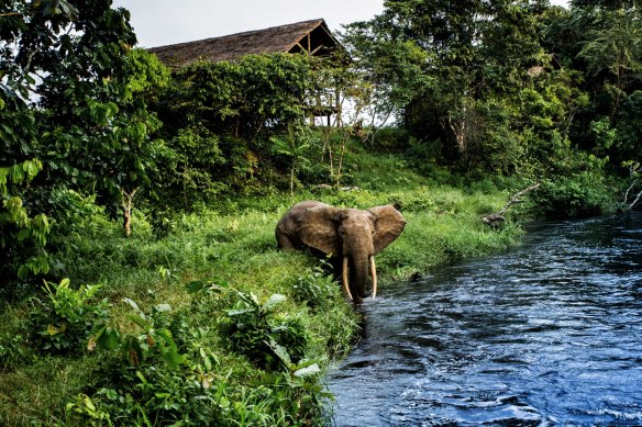 Classic Safari Company operates river routes in the world’s most remote areas.