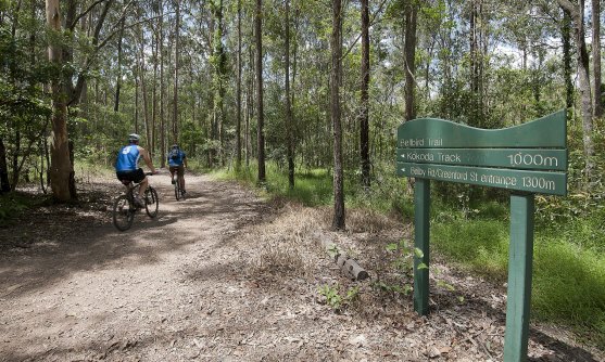 Police are intensifying efforts to locate a man accused of harassing women in the Mt Coot-tha Bushlands. (File photo)