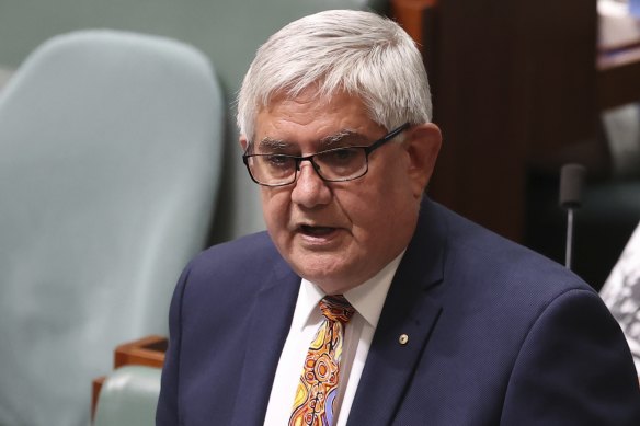 Indigenous Australians Minister Ken Wyatt says the federal government is committed to working with First Nations people.