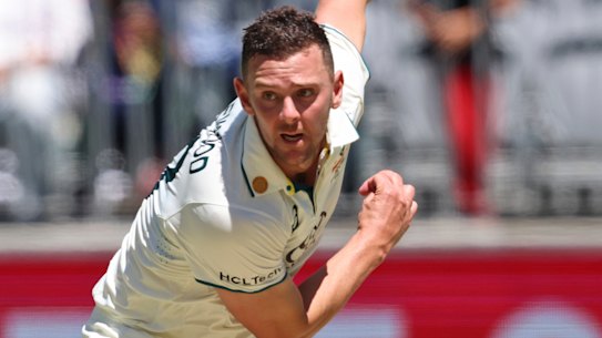 Josh Hazlewood missed the Adelaide Test with a side strain but will come back into the team at the Gabba.