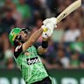 Glenn Maxwell is a Melbourne Stars hero.