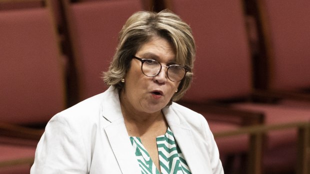 Senator Kerrynne Liddle says claims a failed Voice referendum would harm reconciliation are ‘outrageous’.