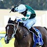 Waller backs Via Sistina to handle heavy challenge in Winx Stakes defence