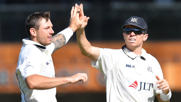 Strike force: James Pattinson and Peter Siddle celebrate a wicker for the Bushrangers against South Australia last week.
