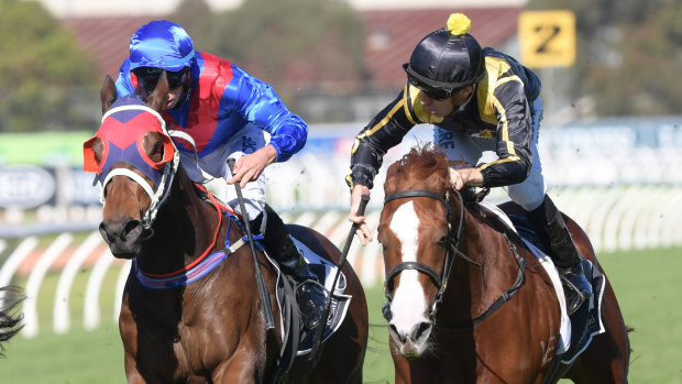 Ready: Nicci's Gold (right) wins at Rosehill last year.