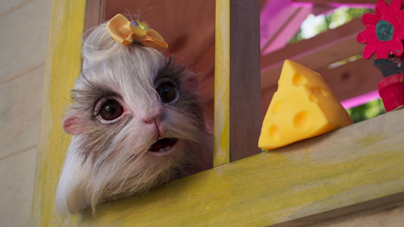 The new ABC kids show that proves you don’t need koalas (or dogs) to be Australian