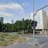 Fig trees on the chopping block for South Brisbane intersection upgrades