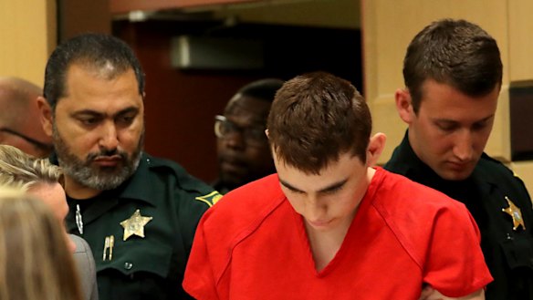 Nikolas Cruz appears in court for a status hearing before Broward Circuit Judge Elizabeth Scherer in February 2018.