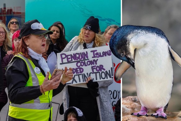 Leader of the Save Rockingham’s Little Penguins campaign Dawn Jecks leads a rally to save the penguins in Rockingham.