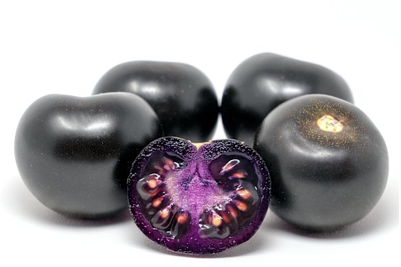 smh.com.au - Angus Dalton - The genetically modified food experiment about to hit Australia