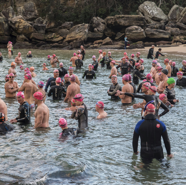 Bold and Beautiful swim squad members entering the water at Shelly Beach less than a week after a shark attack in the same area in 2019.