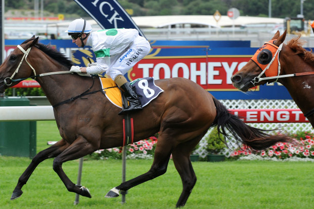 Unordered (in orange) running second at Royal Randwick in 2008.