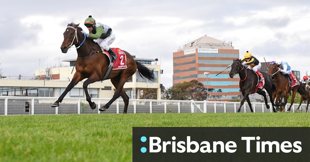 Owners claim the top stakes at Melbourne Cup - Vimarsana News
