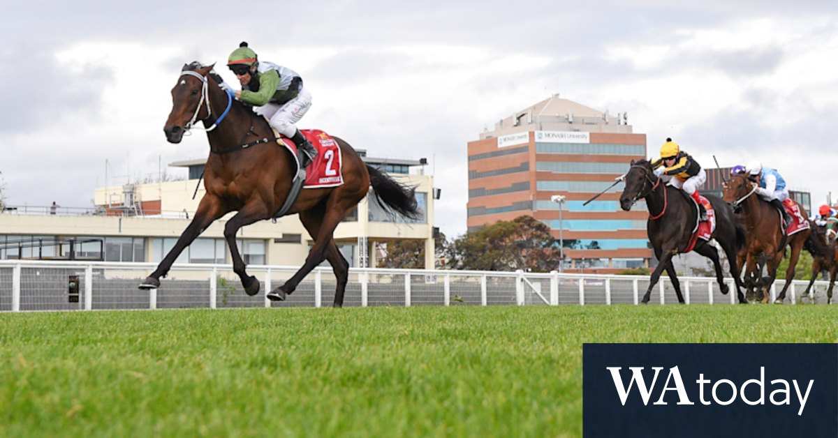 Owners claim the top stakes at Melbourne Cup - Vimarsana News