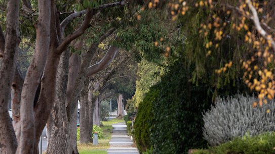 A tree-lined street in Rowville. 