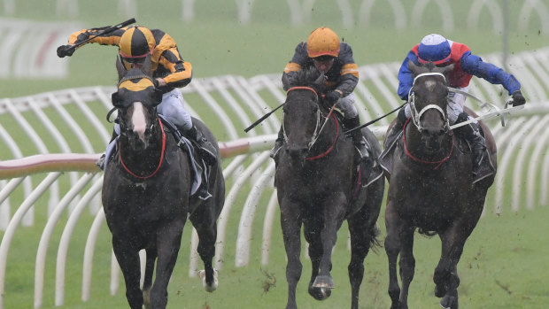 Well loved: Blake Shinn rides Trapeze Artist (far left) to victory in the Canterbury Stakes. 