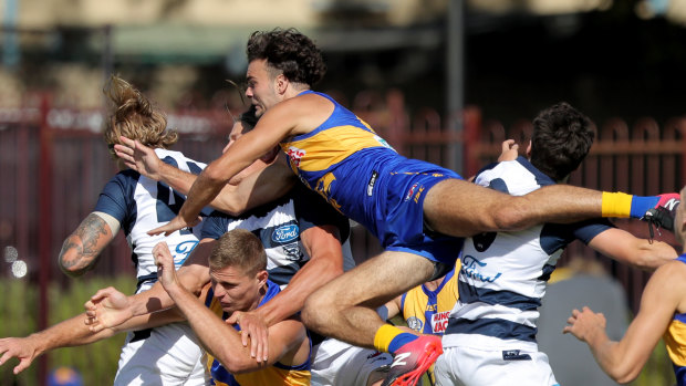Jack Petruccelle (centre) could feature up forward for West Coast early this season.