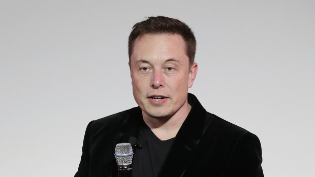 Elon Musk's crazy idea struck a chord. 