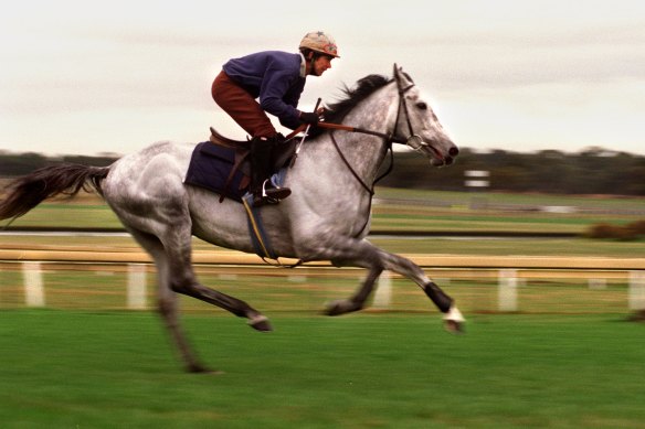 The Queen’s horse Arabian Story was beaten in the Melbourne Cup by Might and Power. 