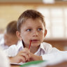 Students could go through school without learning the basics of Australia’s democratic system.