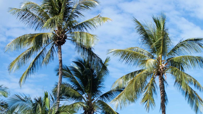 Blackstone redrafts Miami financier for $1.2b Hamilton Island play