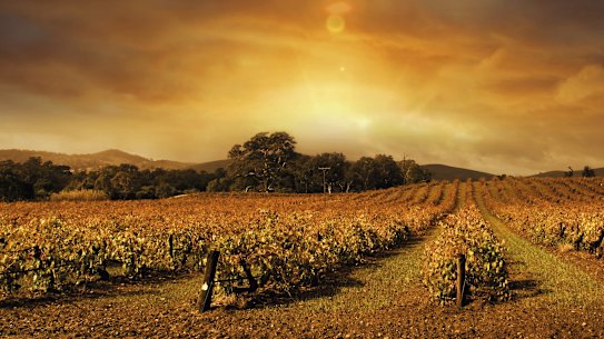 Margaret River wineries face a dim harvest in 2021 as a season worker shortage hits.