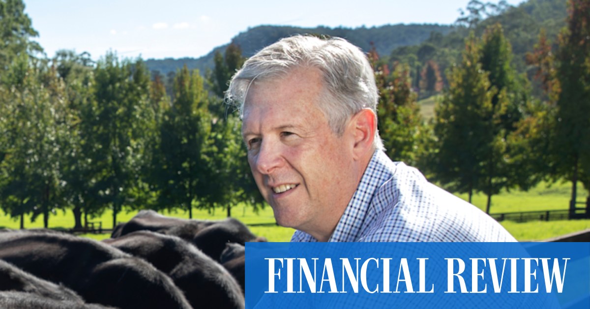 Aussie carbon credits to hit $US100 says Packhorse Pastoral's Tim Samway - Vimarsana News