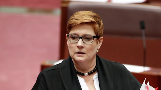 Minister for Women Marise Payne says more work is needed to reduce the rates of violence against women. 